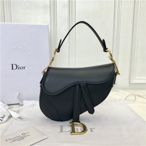 Christian Dior Mini Saddle bag (Varied Colors) Christian Dior Mini Saddle bag (Varied Colors)