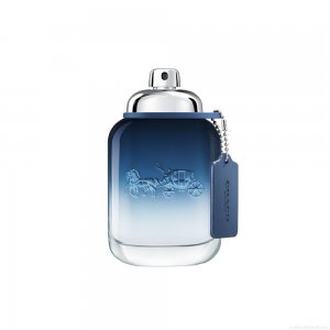 Perfume Coach Blue Masculino Eau de Toilette 100 ml Perfume Coach Blue Masculino Eau de Toilette 100 ml