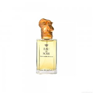 Perfume Sisley Eau Du Soir Feminino Eau de Parfum 100 ml Perfume Sisley Eau Du Soir Feminino Eau de Parfum 100 ml