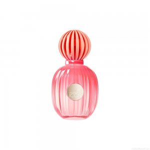 Perfume Banderas The Icon Splendid Feminino Eau de Parfum 50 ml Perfume Banderas The Icon Splendid Feminino Eau de Parfum 50 ml
