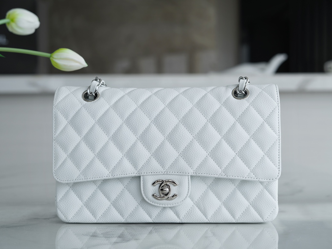 CLASSIC HANDBAG CLASSIC HANDBAG