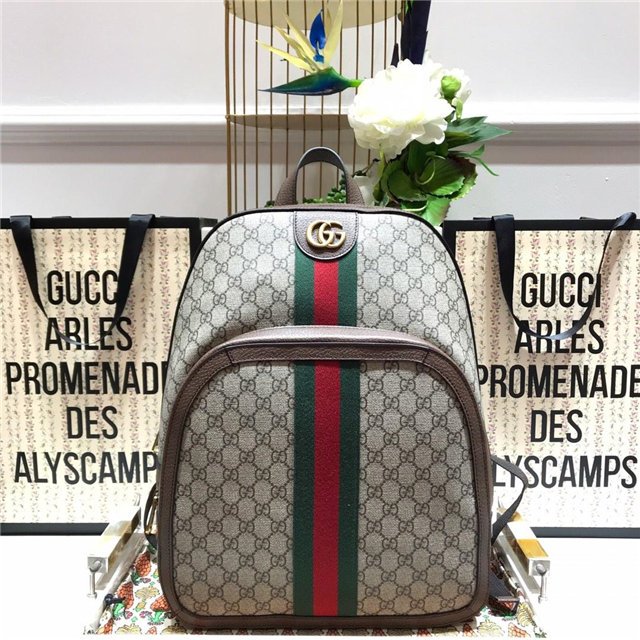Gucci Ophidia GG medium backpack Gucci Ophidia GG medium backpack