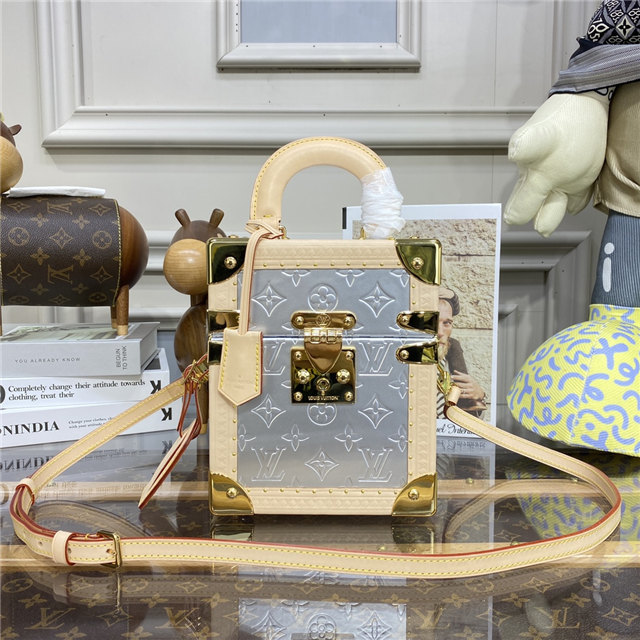 Louis Vuitton Camera Box Louis Vuitton Camera Box