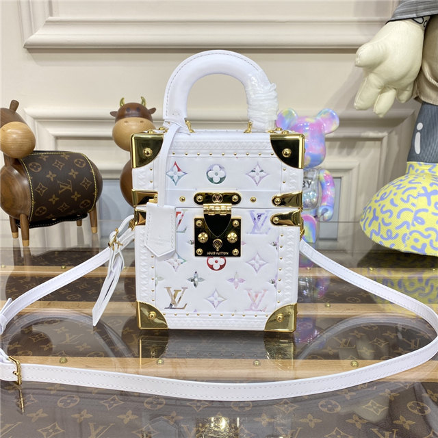 Louis Vuitton Camera Box Louis Vuitton Camera Box