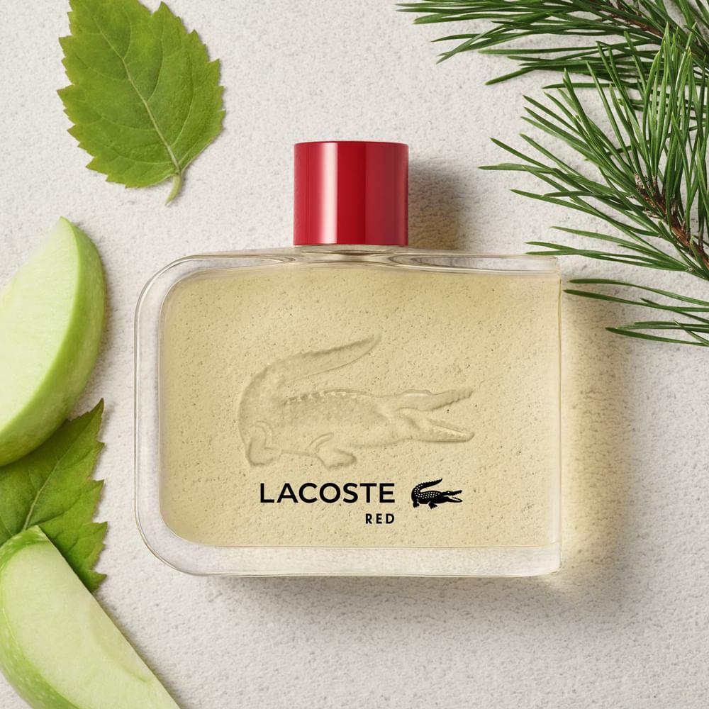 Perfume Lacoste Red Eau de Toilette Masculino 125 ml Perfume Lacoste Red Eau de Toilette Masculino 125 ml