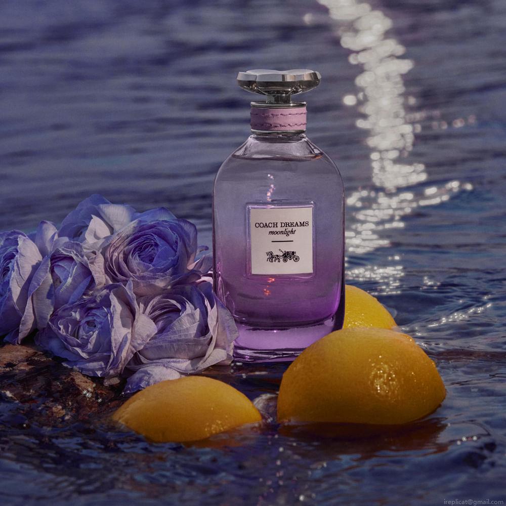 Perfume Coach Dreams Moonlight Eau de Parfum Feminino 90 ml Perfume Coach Dreams Moonlight Eau de Parfum Feminino 90 ml