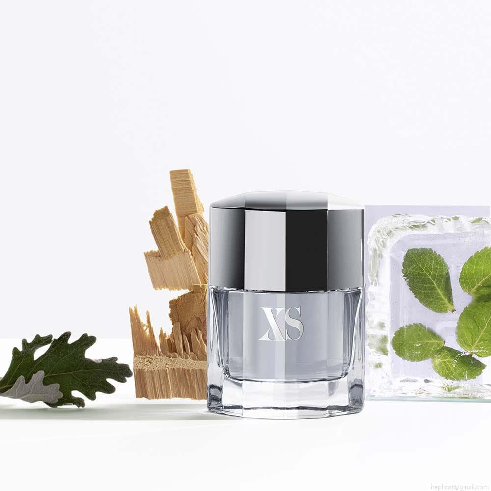 Perfume Paco Rabanne XS Masculino Eau de Toilette 100 ml Perfume Paco Rabanne XS Masculino Eau de Toilette 100 ml