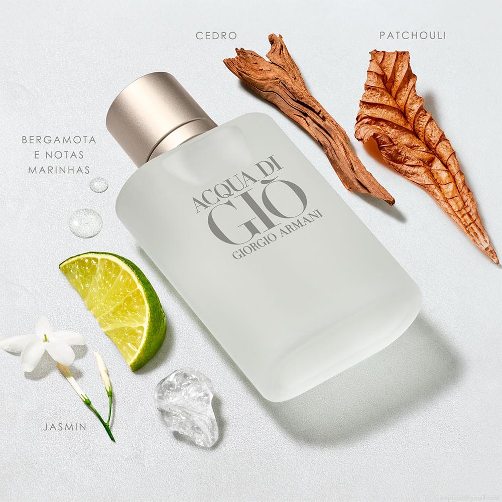 Perfume Giorgio Armani Acqua Di Giò Homme Masculino Eau de Toilette 100 ml Perfume Giorgio Armani Acqua Di Giò Homme Masculino Eau de Toilette 100 ml