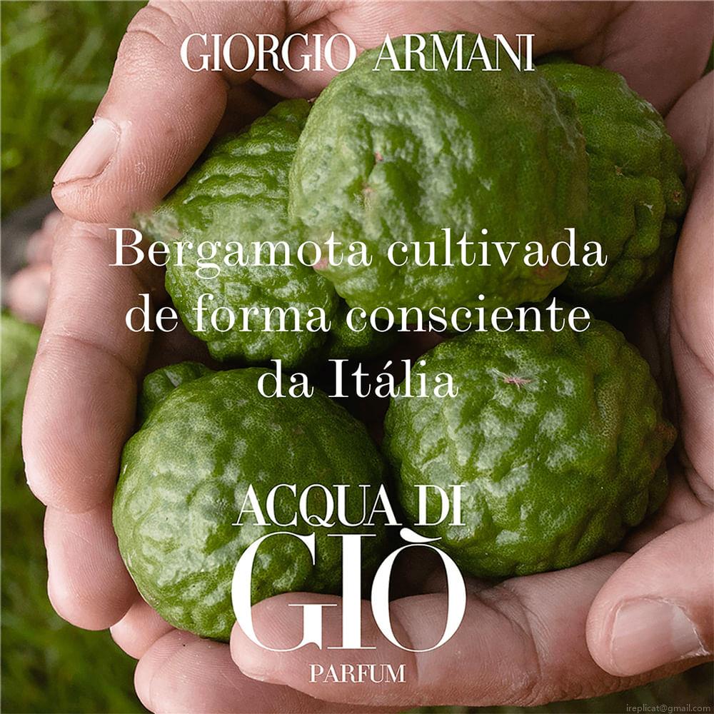 Perfume Giorgio Armani Acqua Di Giò Homme Masculino Eau de Toilette 100 ml Perfume Giorgio Armani Acqua Di Giò Homme Masculino Eau de Toilette 100 ml