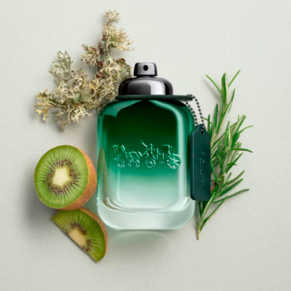 Perfume Coach Green Masculino Eau de Toilette 100 ml Perfume Coach Green Masculino Eau de Toilette 100 ml