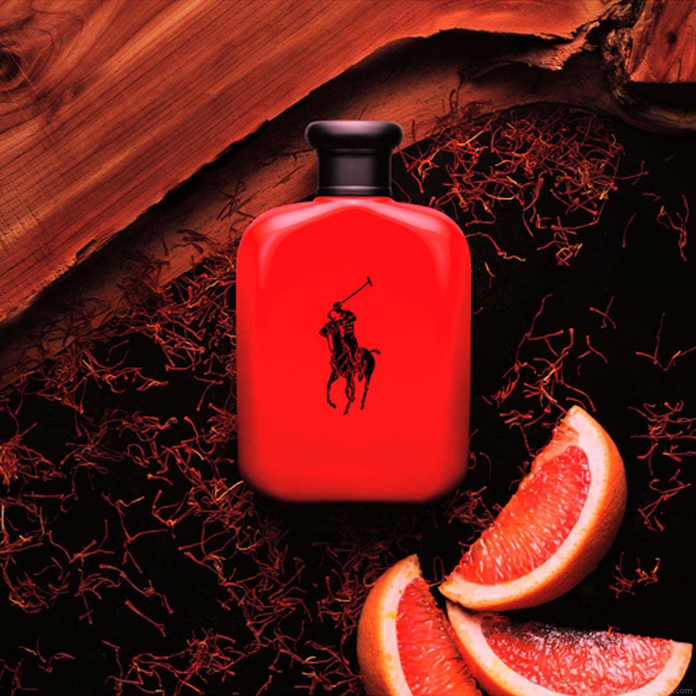 Perfume Ralph Lauren Polo Red Masculino Eau de Toilette 200 ml Perfume Ralph Lauren Polo Red Masculino Eau de Toilette 200 ml