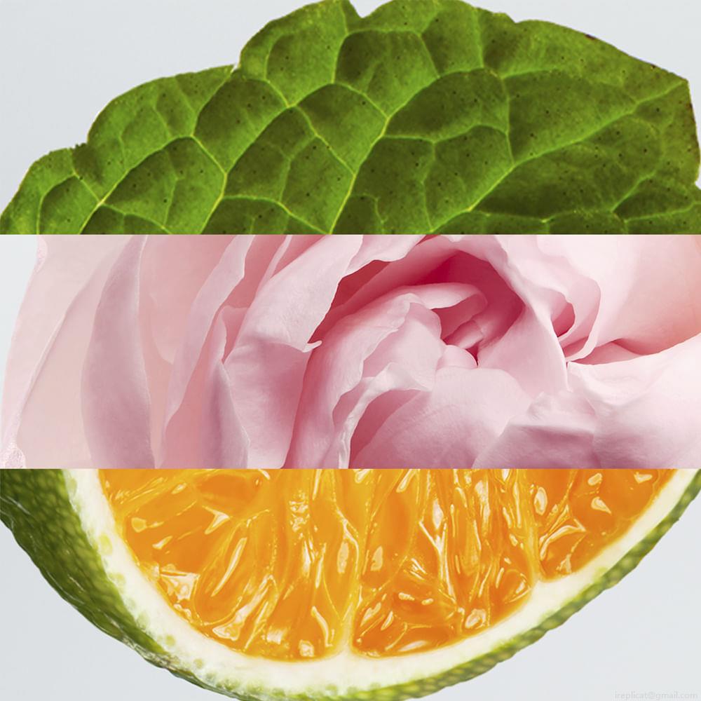 Perfume Lacoste L.12.12 Rose Feminino Eau de Parfum 50 ml Perfume Lacoste L.12.12 Rose Feminino Eau de Parfum 50 ml