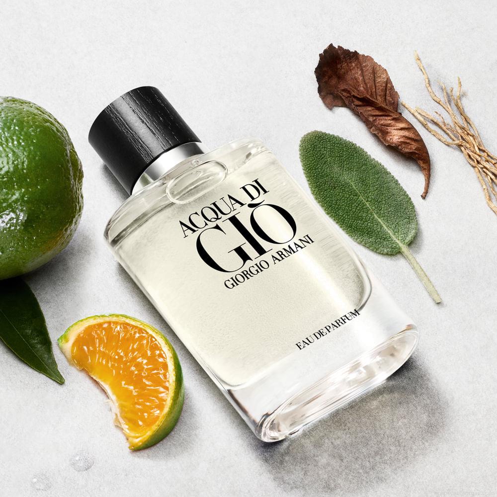 Perfume Giorgio Armani Acqua Di Giò Masculino Eau de Parfum 200 ml Perfume Giorgio Armani Acqua Di Giò Masculino Eau de Parfum 200 ml