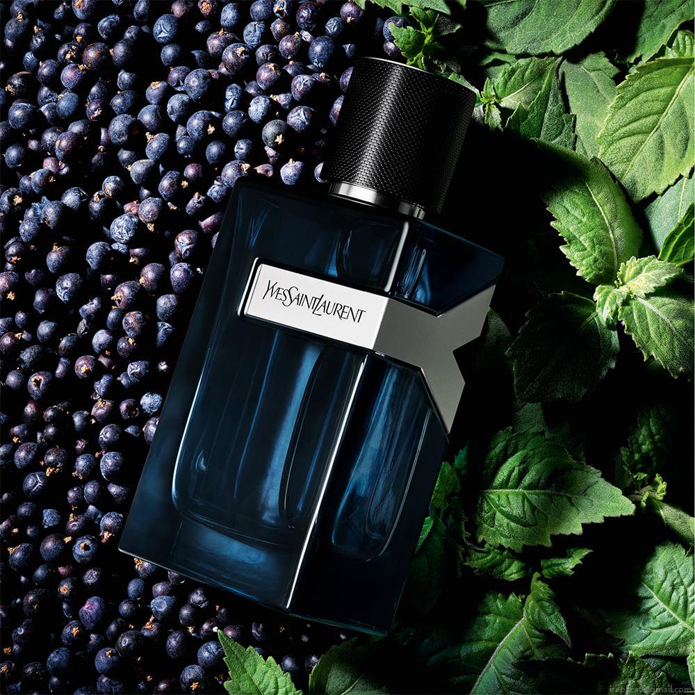 Perfume Yves Saint Laurent Y Intense Masculino Eau de Parfum 60 ml Perfume Yves Saint Laurent Y Intense Masculino Eau de Parfum 60 ml