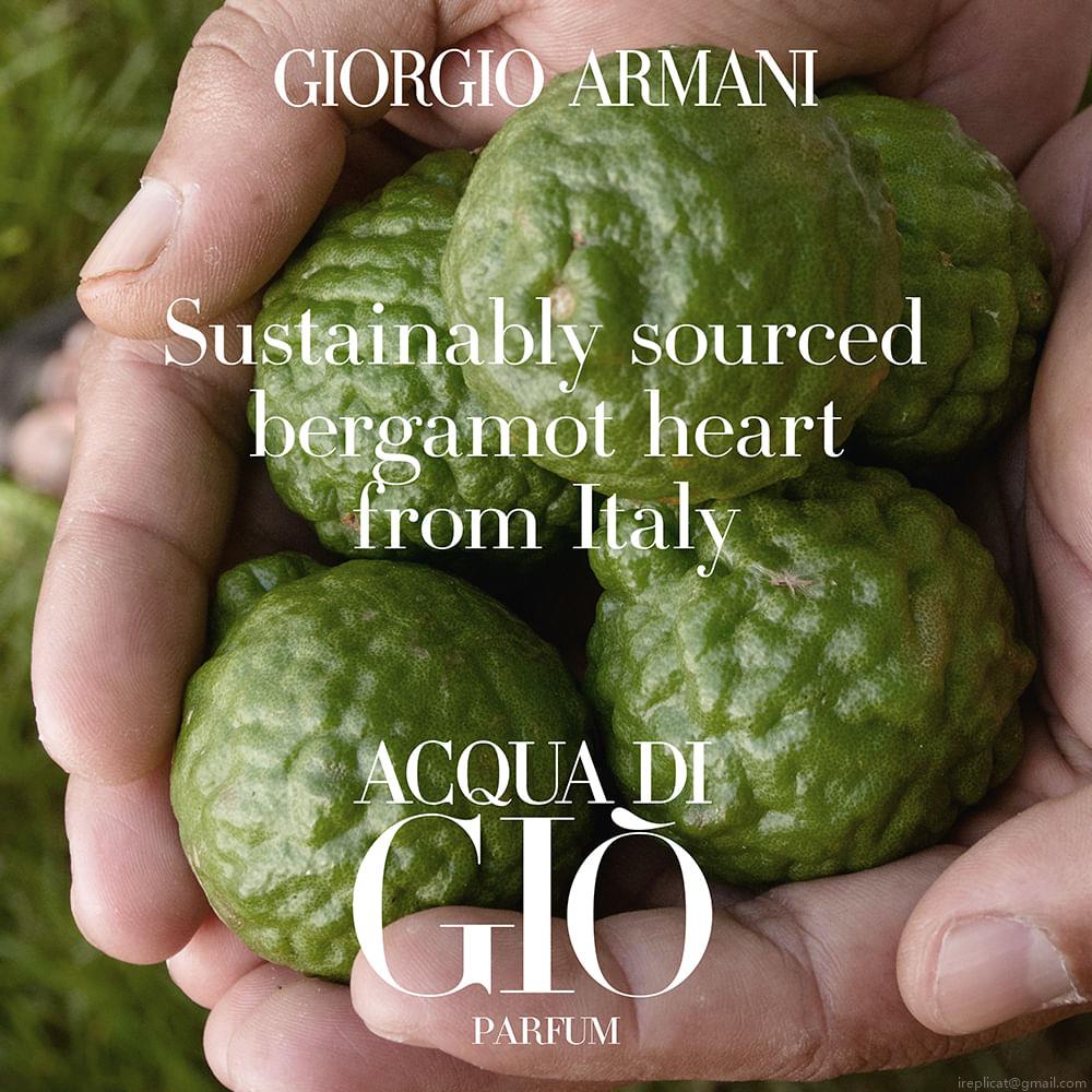 Perfume Giorgio Armani Acqua Di Giò Masculino Parfum 125 ml Perfume Giorgio Armani Acqua Di Giò Masculino Parfum 125 ml