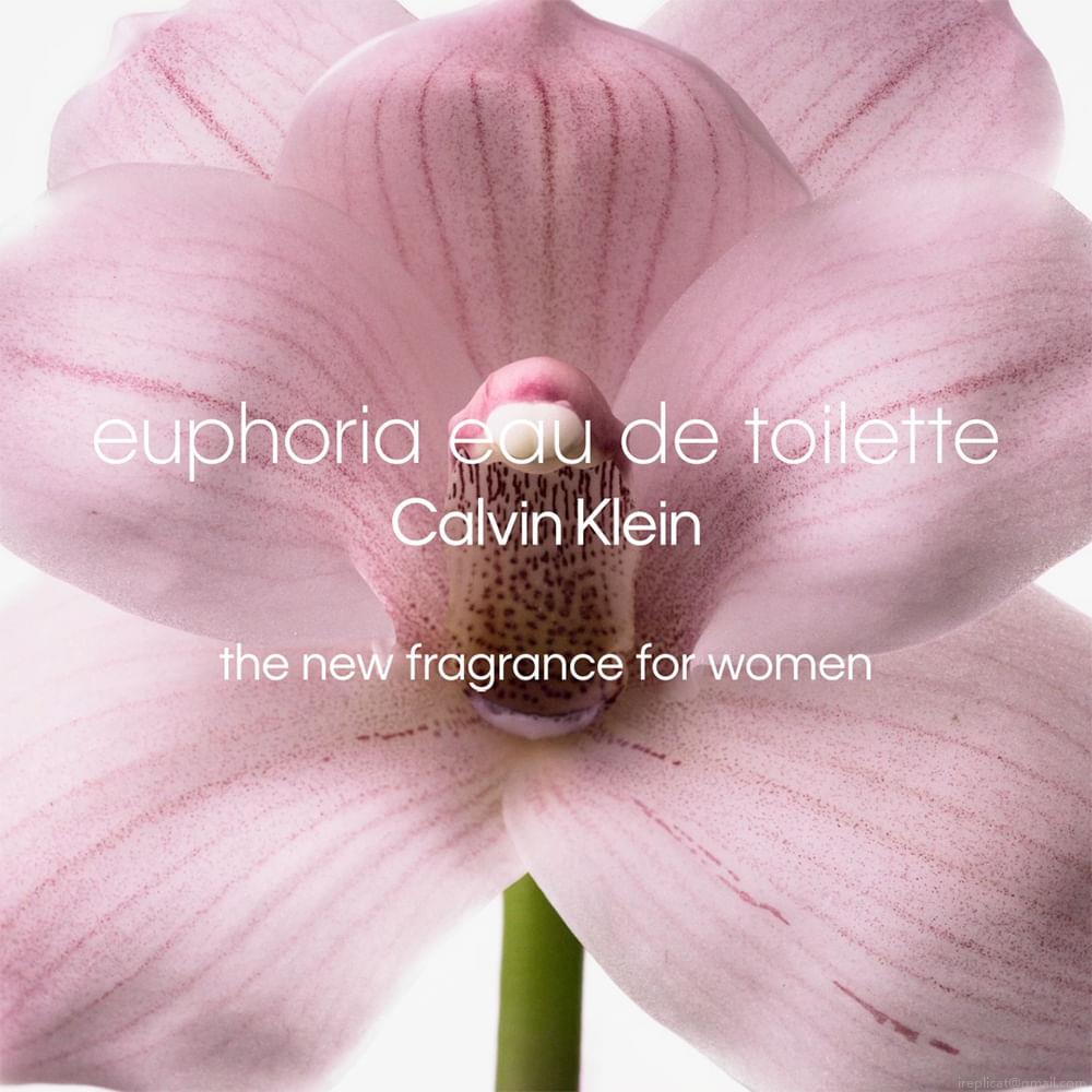Perfume Calvin Klein Euphoria Feminino Eau de Toilette 30 ml Perfume Calvin Klein Euphoria Feminino Eau de Toilette 30 ml