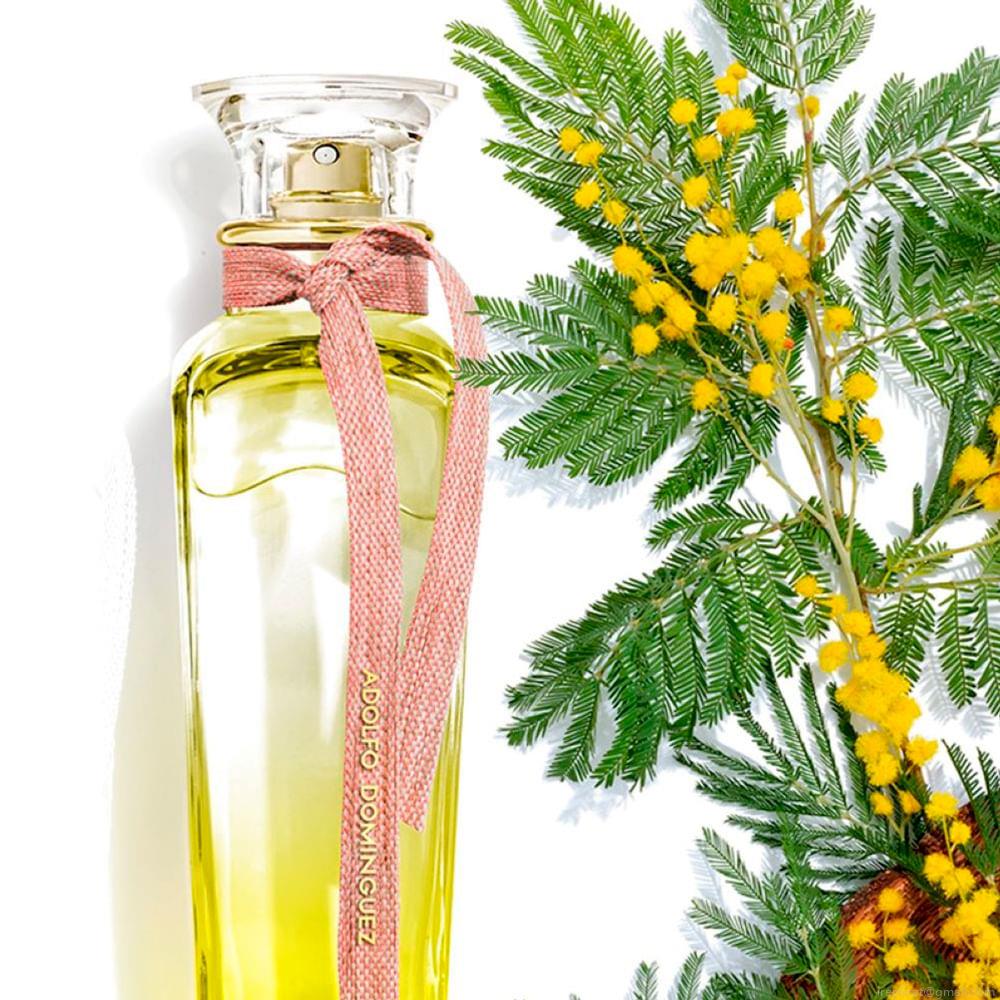 Perfume Adolfo Dominguez Água Fresca Mimosa Coriandro Feminino Eau de Toilette 120 ml Perfume Adolfo Dominguez Água Fresca Mimosa Coriandro Feminino Eau de Toilette 120 ml