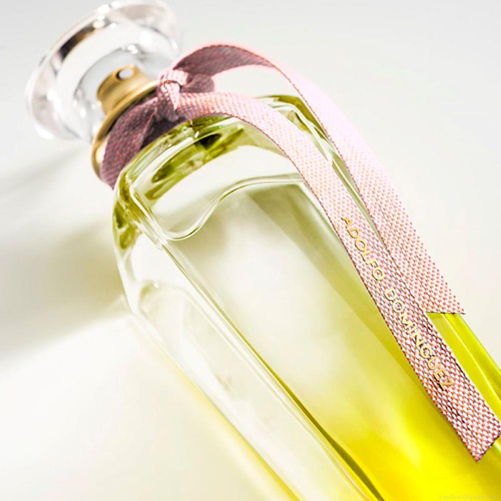 Perfume Adolfo Dominguez Água Fresca Mimosa Coriandro Feminino Eau de Toilette 120 ml Perfume Adolfo Dominguez Água Fresca Mimosa Coriandro Feminino Eau de Toilette 120 ml