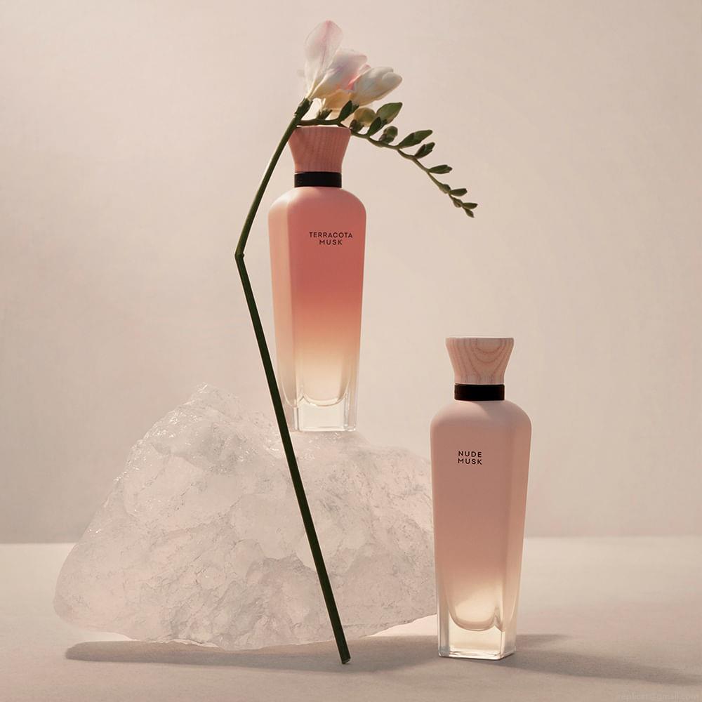 Perfume Adolfo Dominguez Terracota Musk Feminino Eau de Parfum 120 ml Perfume Adolfo Dominguez Terracota Musk Feminino Eau de Parfum 120 ml