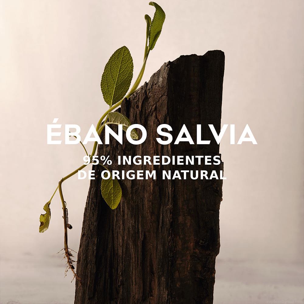Perfume Adolfo Dominguez Ébano Salvia Masculino Eau de Parfum 120 ml Perfume Adolfo Dominguez Ébano Salvia Masculino Eau de Parfum 120 ml