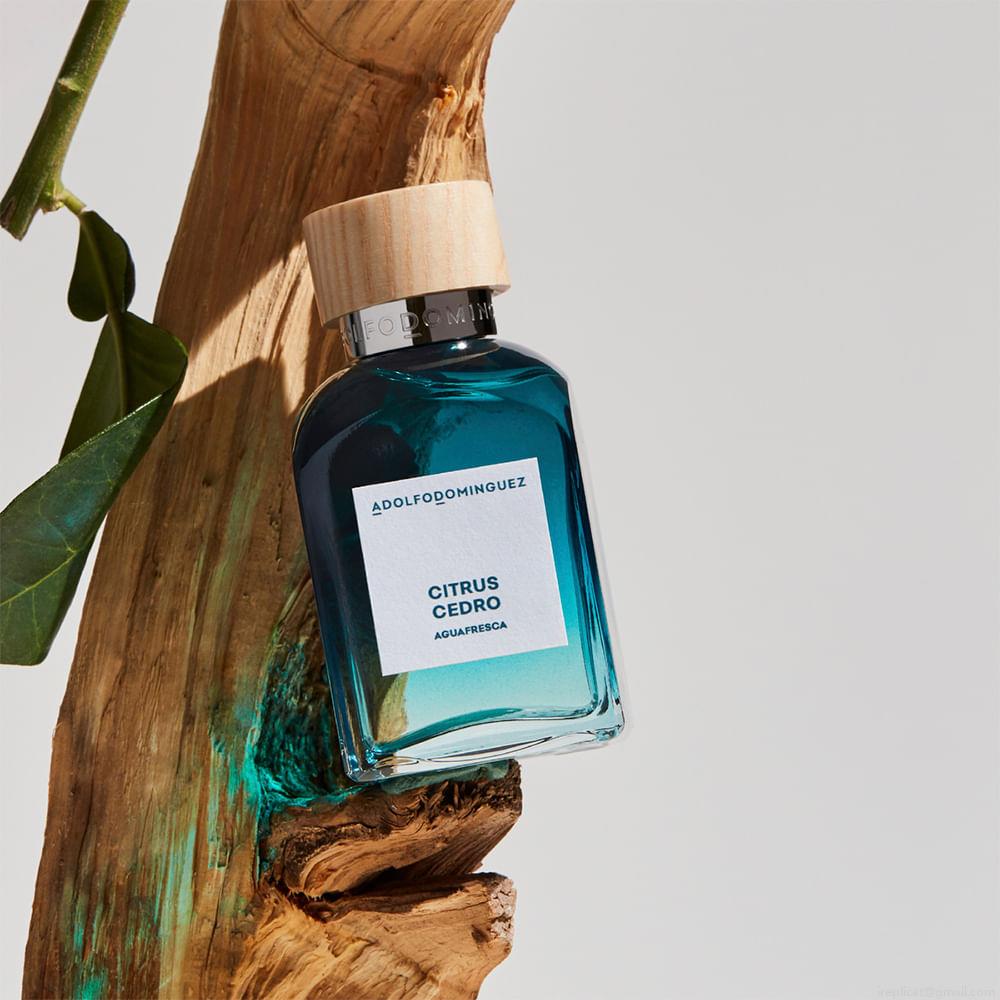 Perfume Adolfo Dominguez Água Fresca Citrus Cedro Masculino Eau de Toilette 120 ml Perfume Adolfo Dominguez Água Fresca Citrus Cedro Masculino Eau de Toilette 120 ml
