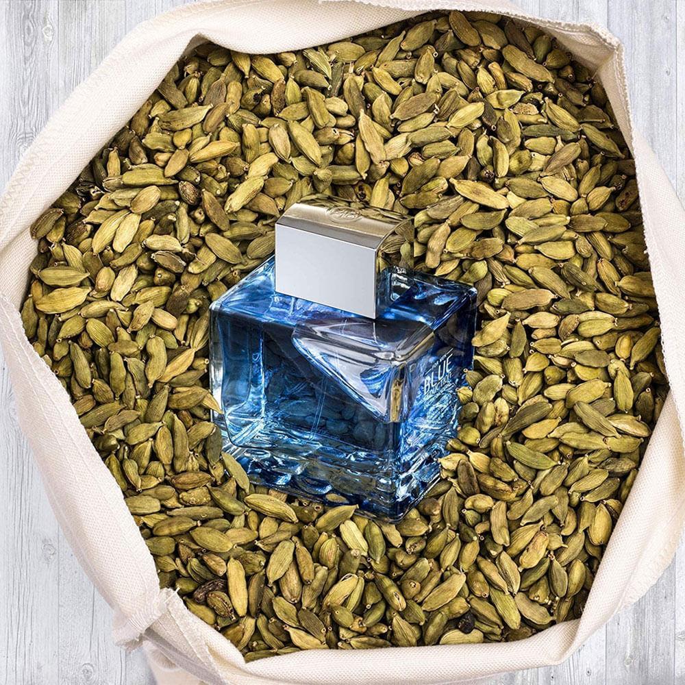 Perfume Banderas Blue Seduction Masculino Eau de Toilette 100 ml Perfume Banderas Blue Seduction Masculino Eau de Toilette 100 ml