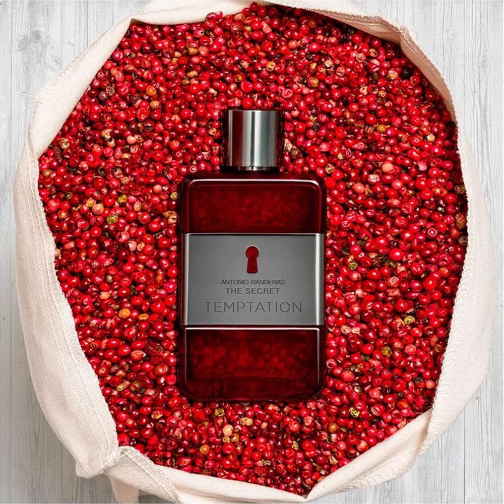 Perfume Banderas The Secret Temptation Masculino Eau de Toilette 50 ml Perfume Banderas The Secret Temptation Masculino Eau de Toilette 50 ml