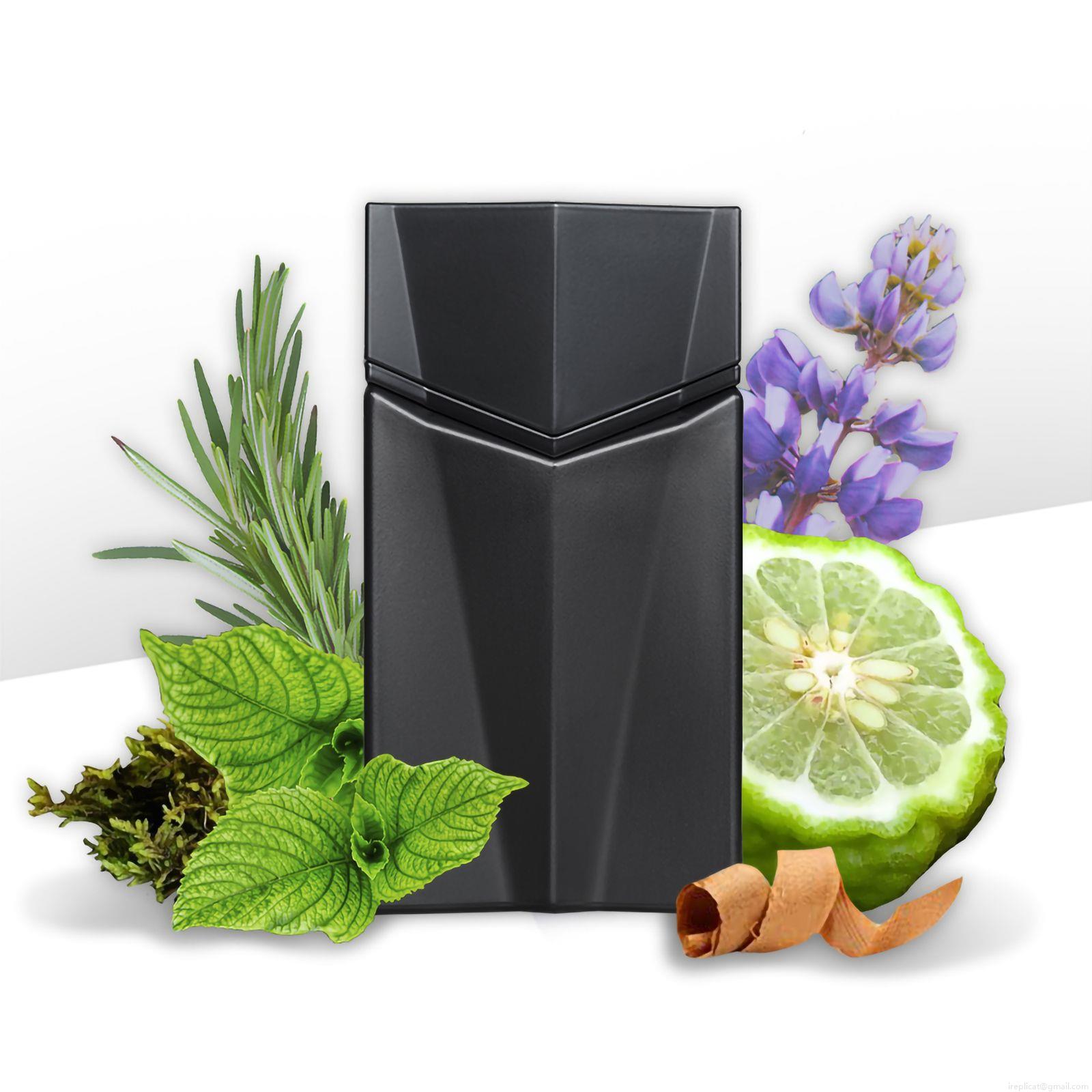 Perfume Animale Seduction Homme Masculino Eau de Toilette 100 ml Perfume Animale Seduction Homme Masculino Eau de Toilette 100 ml