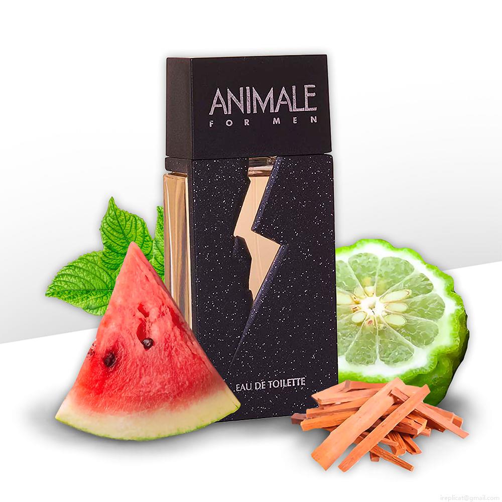 Perfume Animale For Men Masculino Eau de Toilette 200 ml Perfume Animale For Men Masculino Eau de Toilette 200 ml