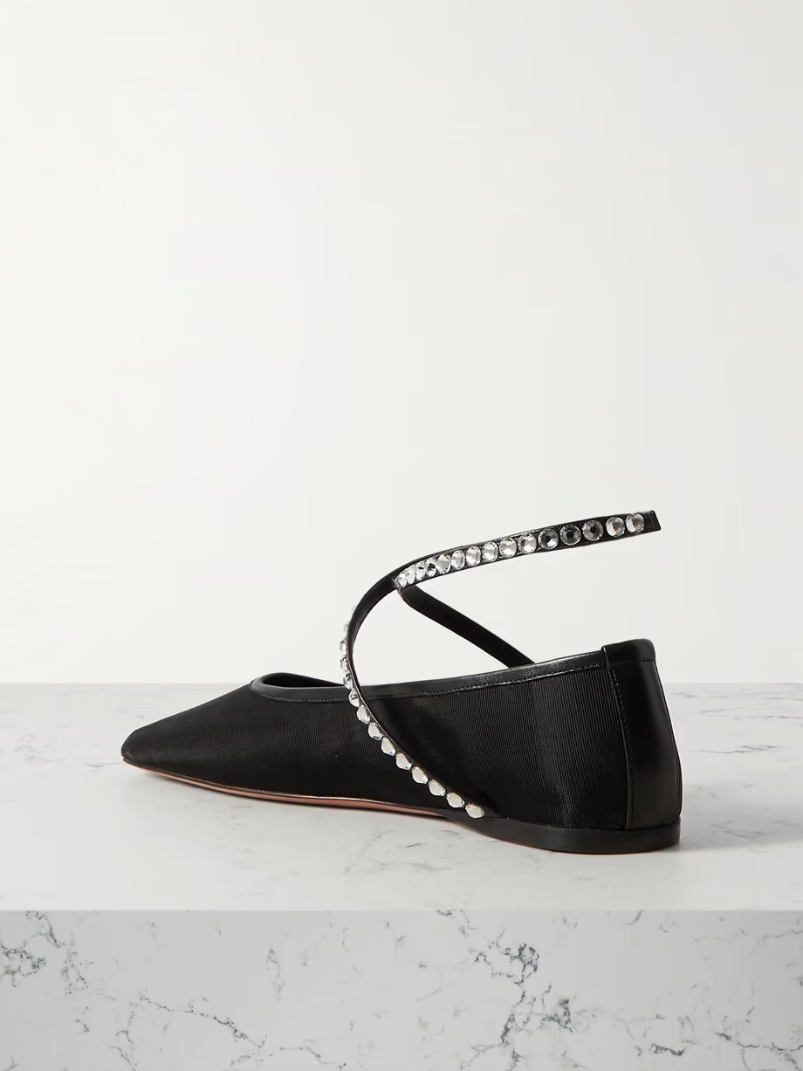 Ane crystal-embellished leather-trimmed mesh ballet flats Ane crystal-embellished leather-trimmed mesh ballet flats